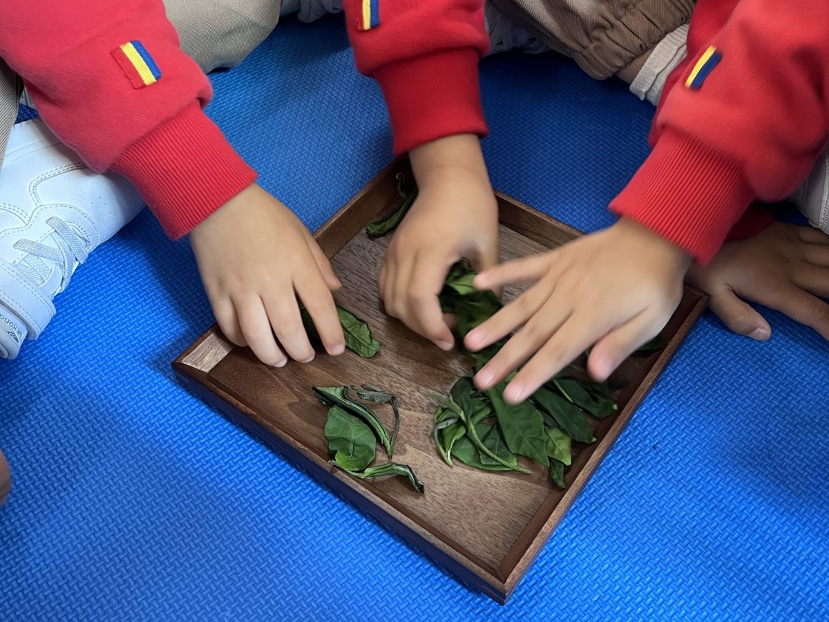 幼稚園香港茶工作坊 ─ 沙田區水泉澳