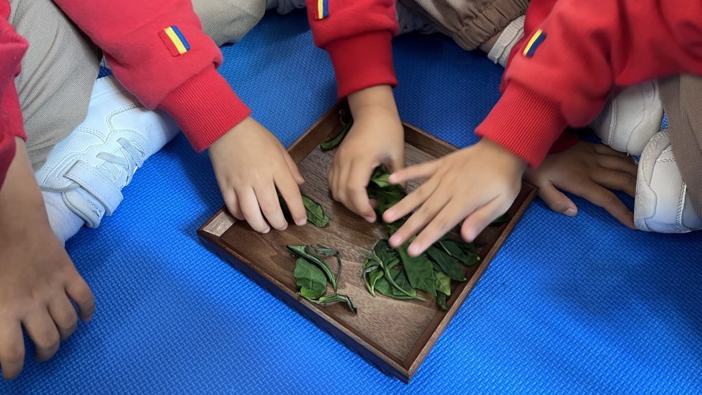 幼稚園香港茶工作坊 ─ 沙田區水泉澳