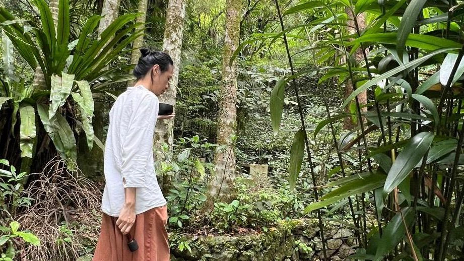 嘉道理農場「念茶」活動 2025